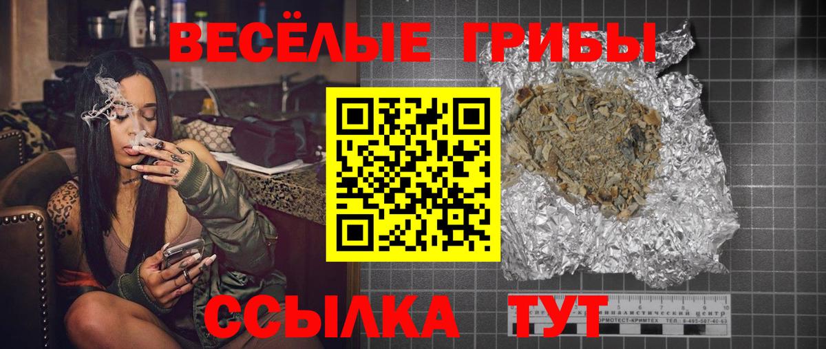 Галлюциногенные грибы Psilocybe Туапсе
