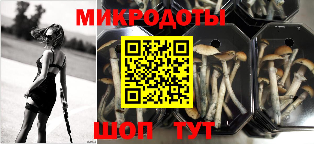 Псилоцибиновые грибы Cubensis  Вход с VPN  Туапсе 